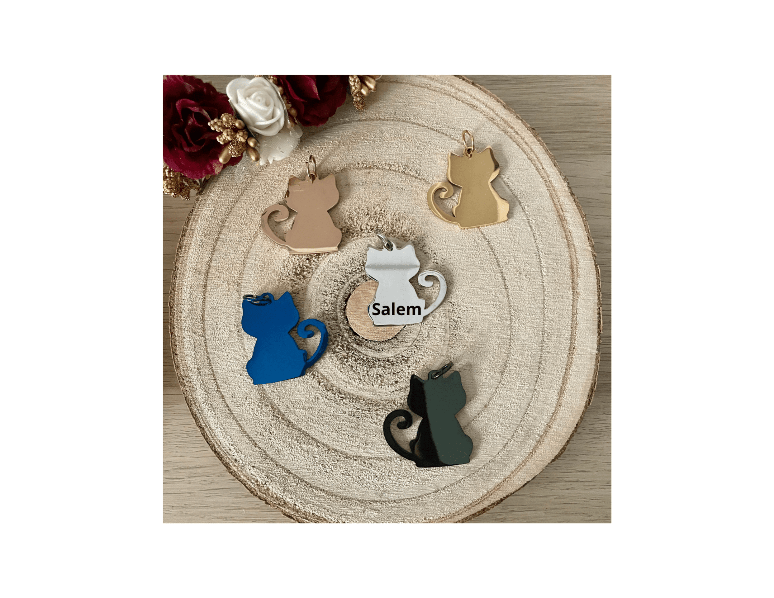 Placa Gato Personalizable - 1
