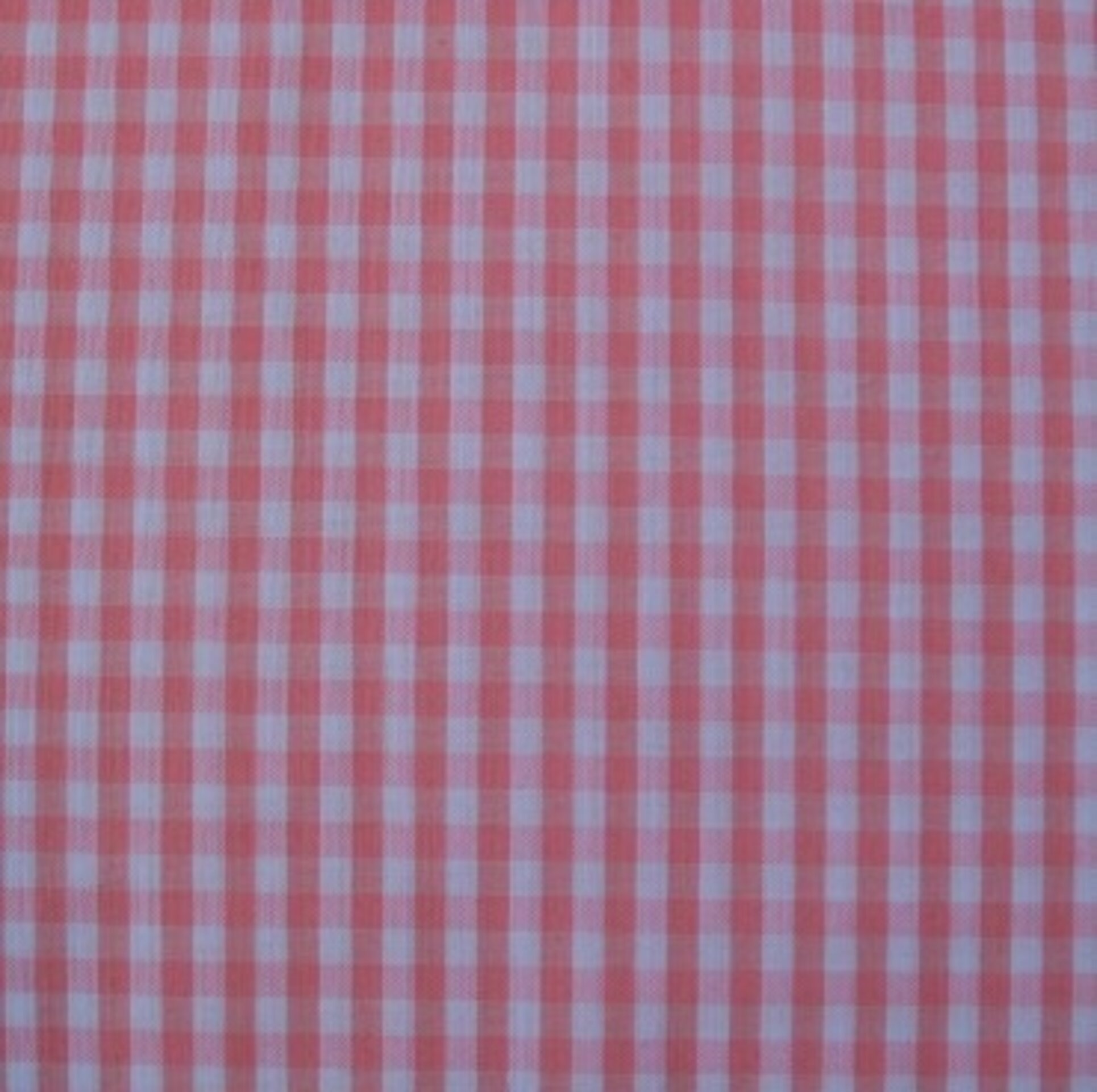 Babi escolar PREVENTA - 6